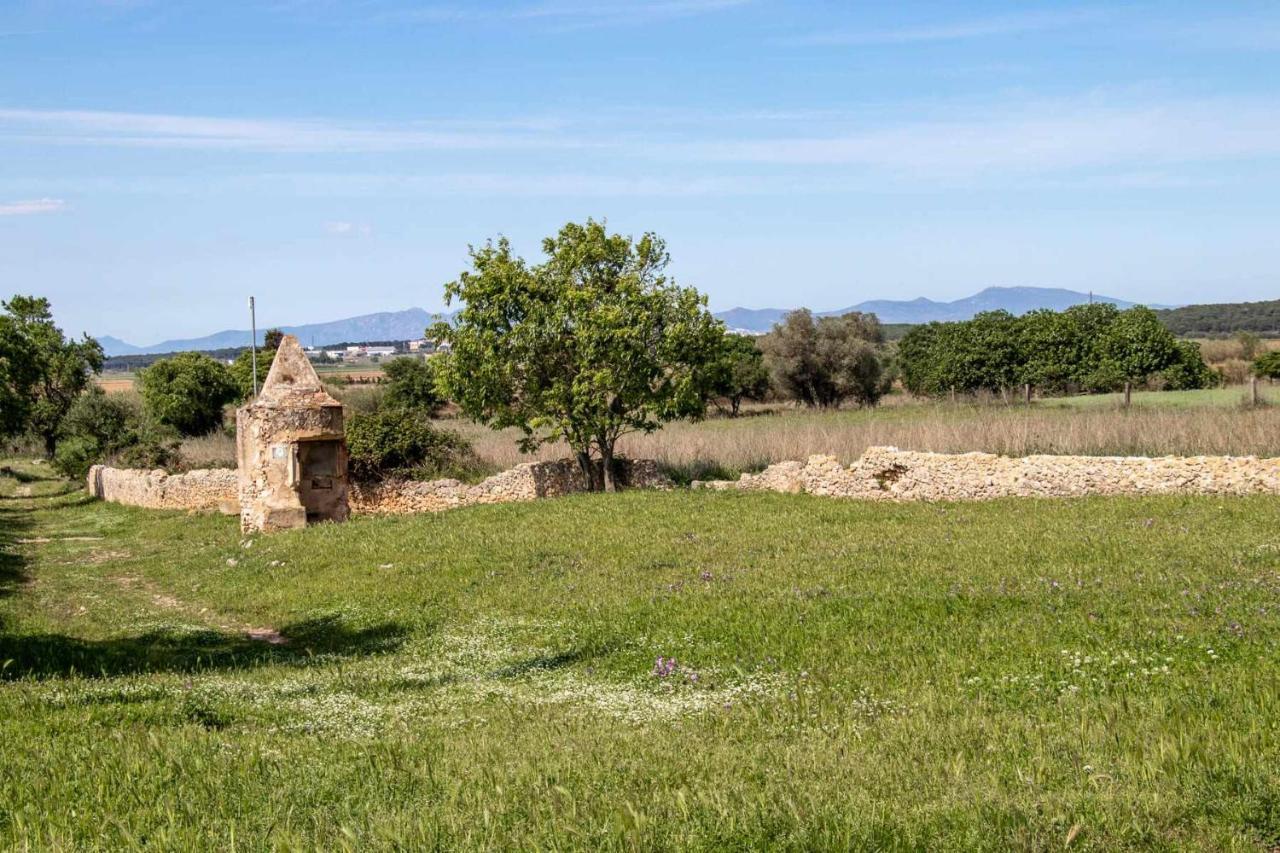 Ocells De Montgri Apartamento Rural En El Emporda Sobrestany Buitenkant foto